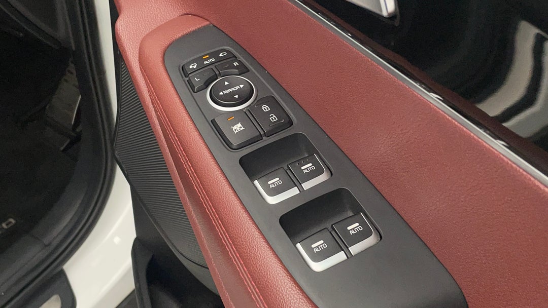 Drivers Side Door Panel Controls