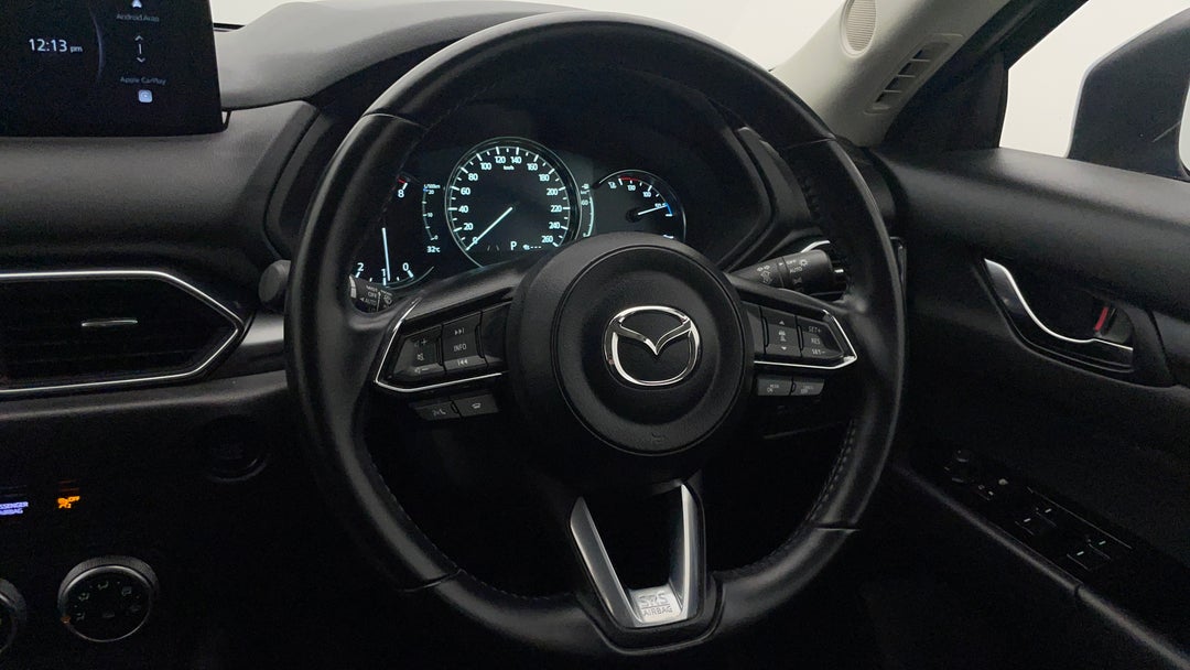 Steering Wheel Close-up