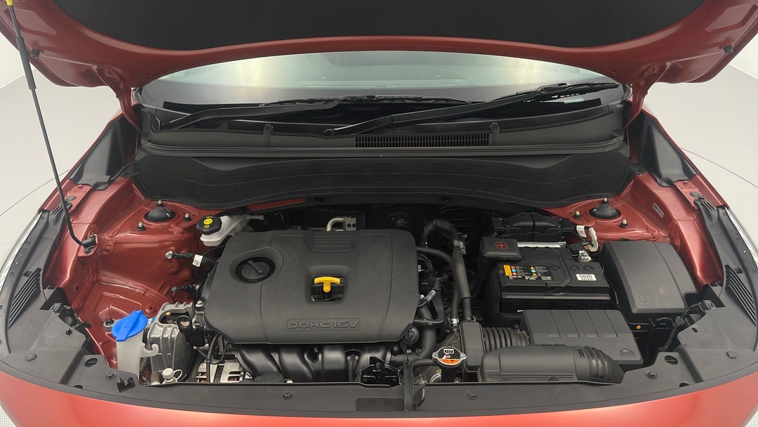 Open Bonnet (Engine)