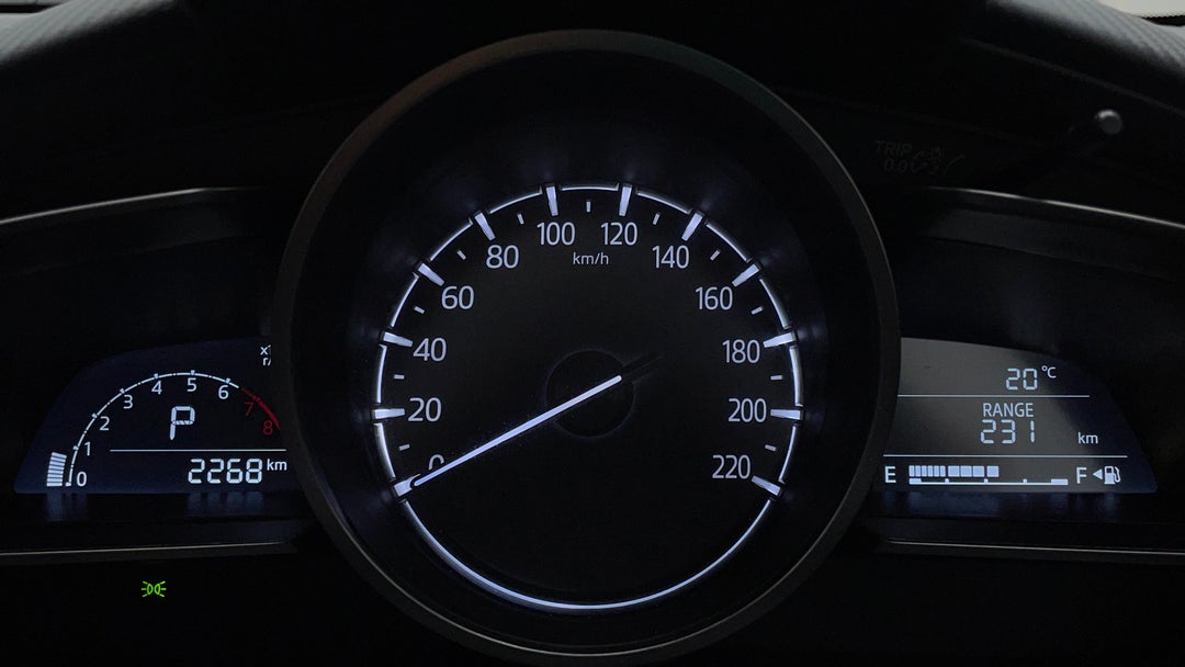Odometer View