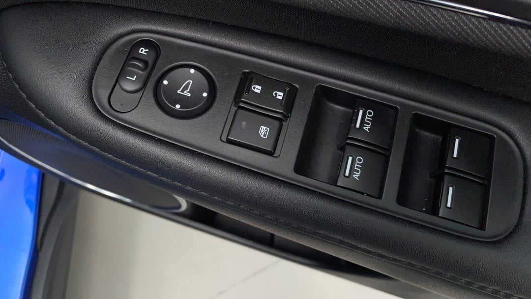 Drivers Side Door Panel Controls
