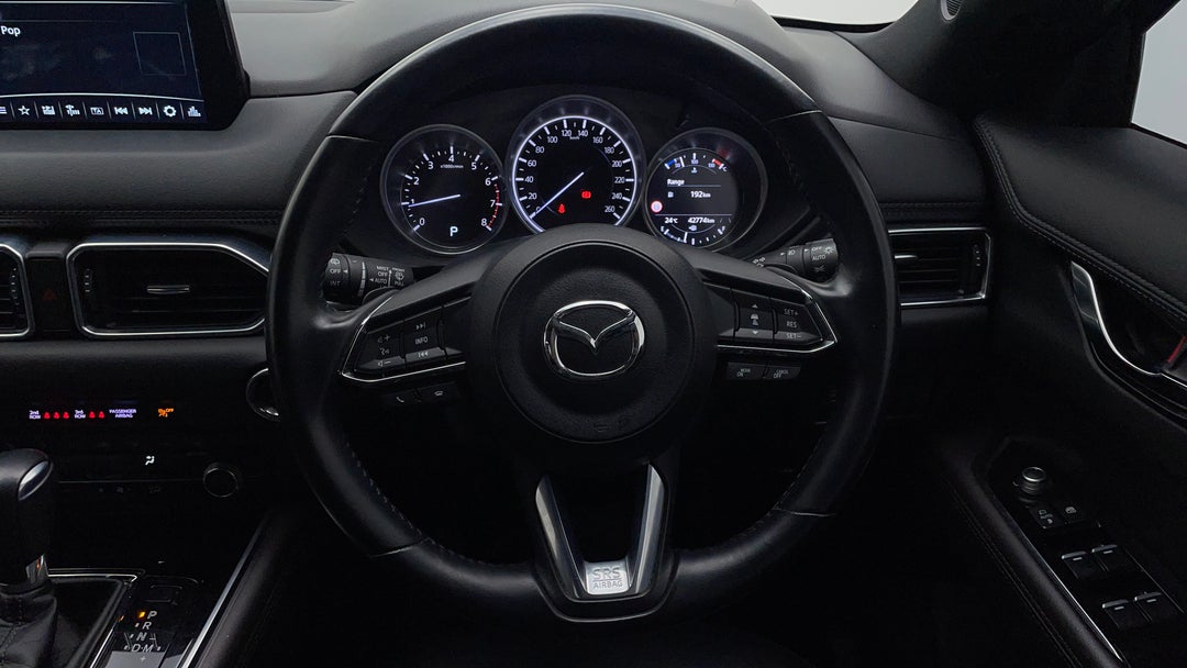 Steering Wheel Close-up