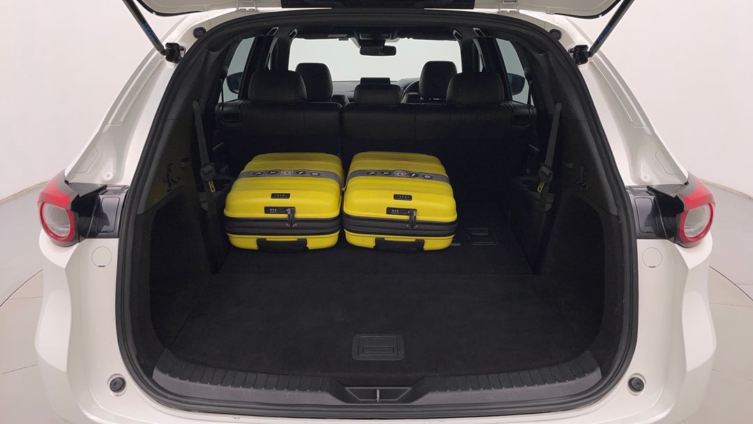 Boot Inside View with Luggage