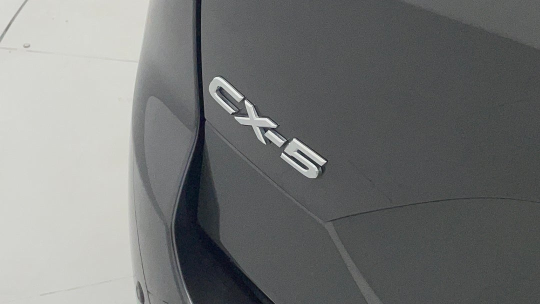 Badge (Boot Left Side)