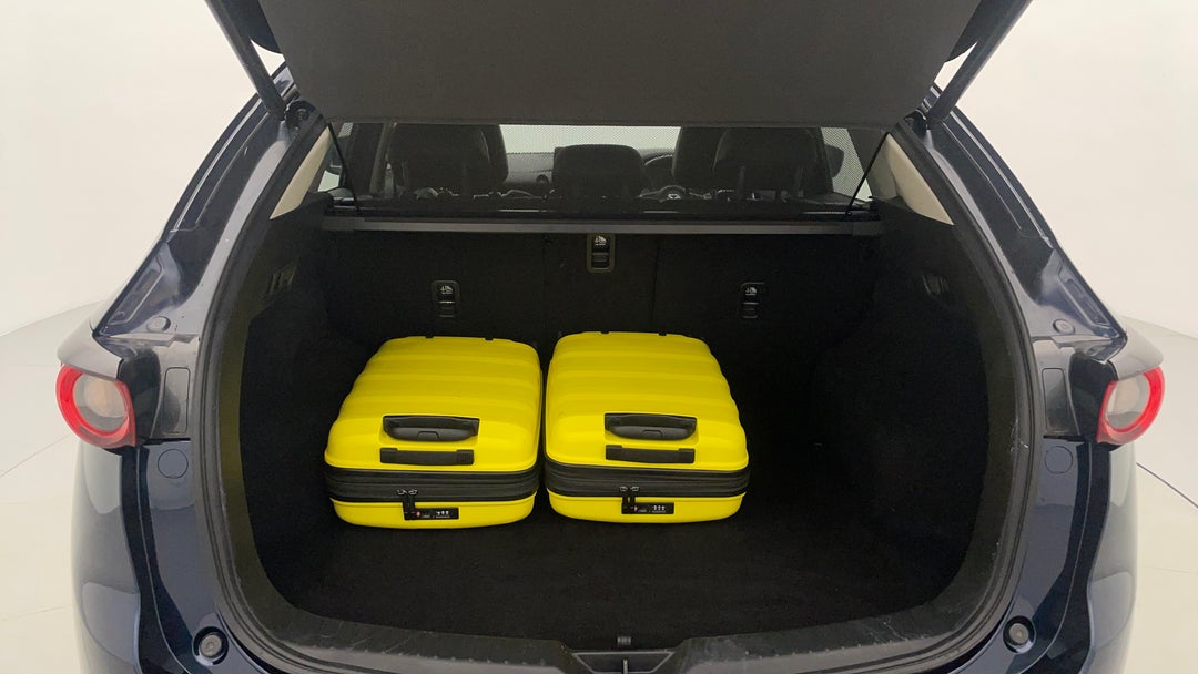 Boot Inside View with Luggage