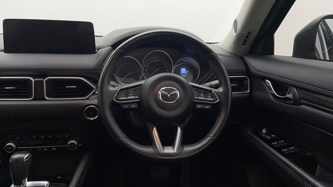 Steering Wheel Close-up