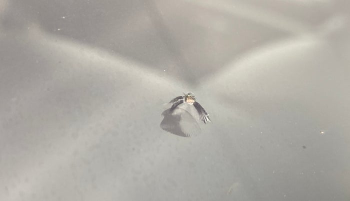 2015 Maruti Swift VXI D, Petrol, Manual, 43,301 km, Front windshield - Minor spot on windshield