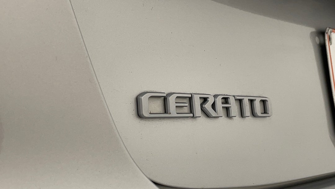 Badge (Boot Left Side)