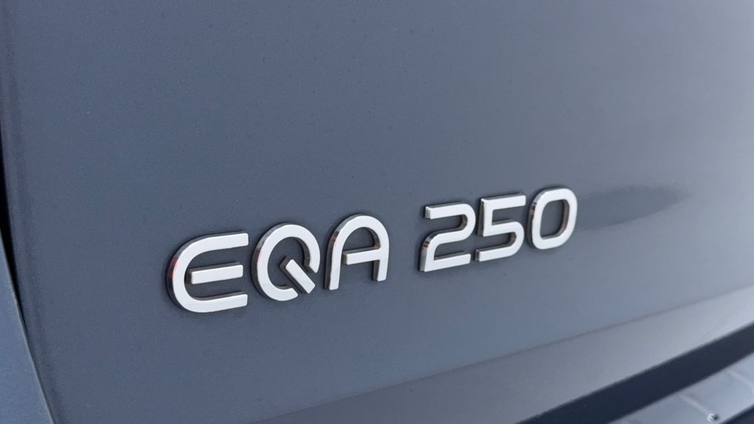 Badge (Boot Left Side)