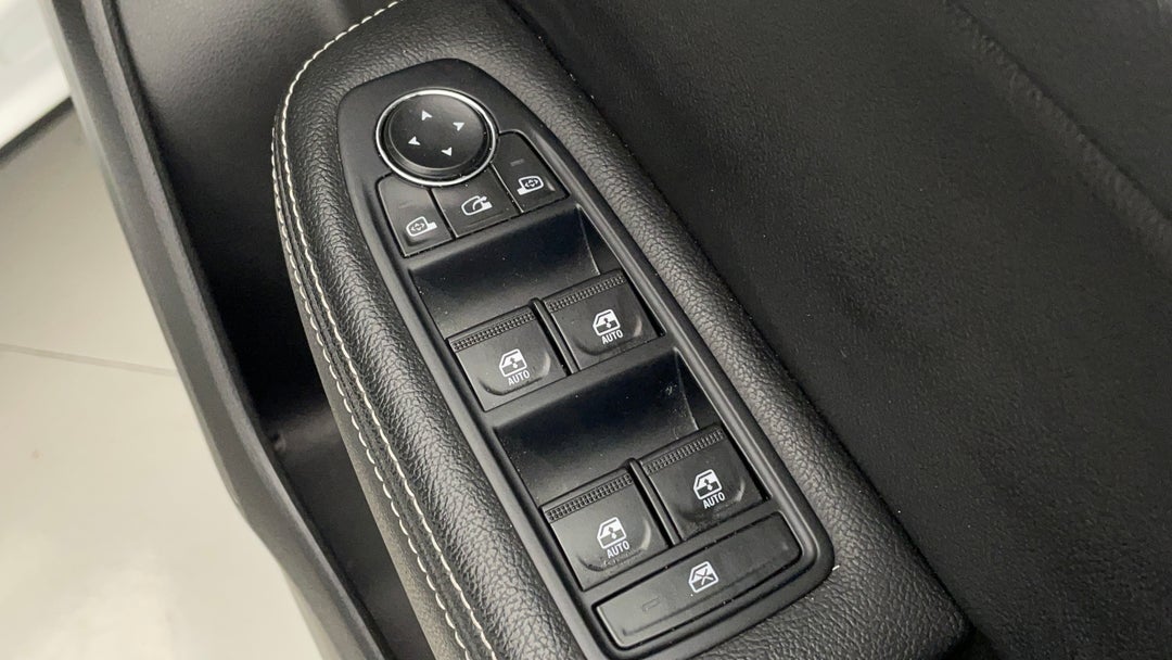 Drivers Side Door Panel Controls