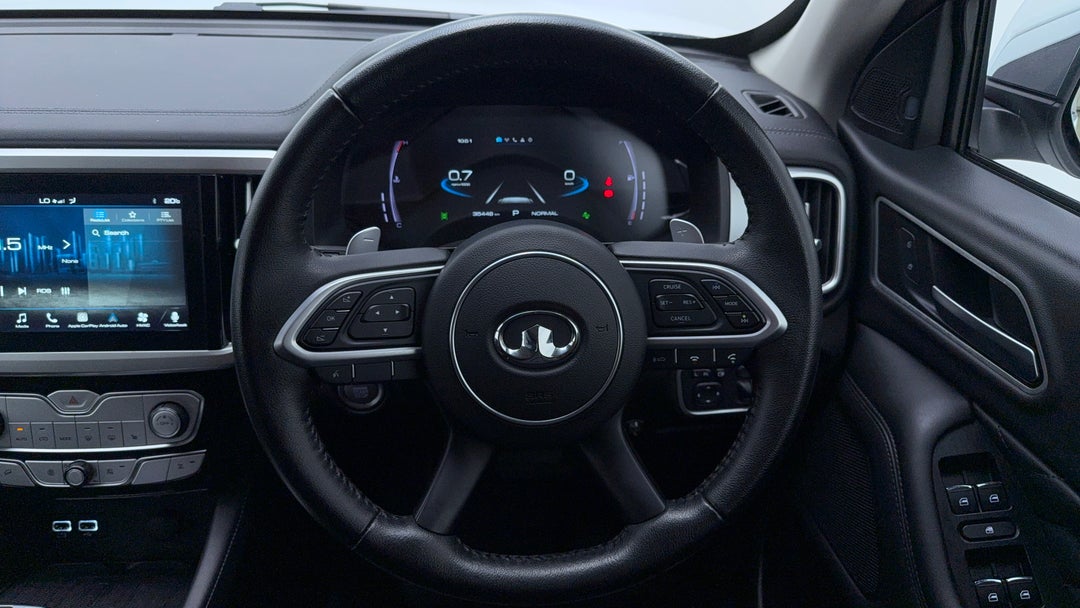 Steering Wheel Close-up
