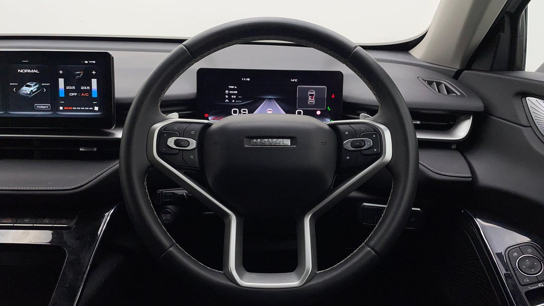 Steering Wheel Close-up