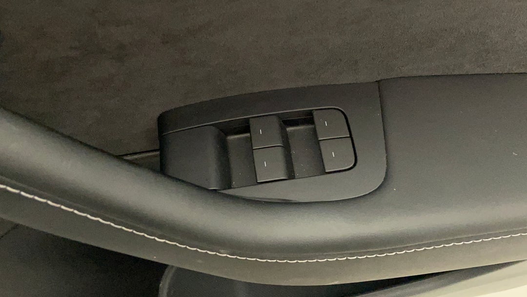 Drivers Side Door Panel Controls