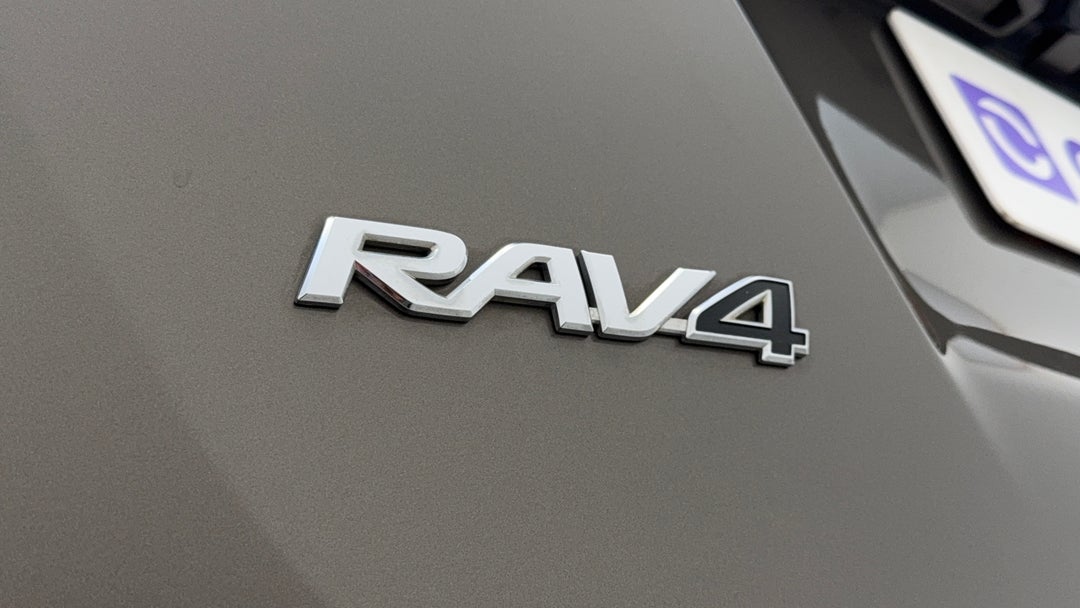 Badge (Boot Left Side)