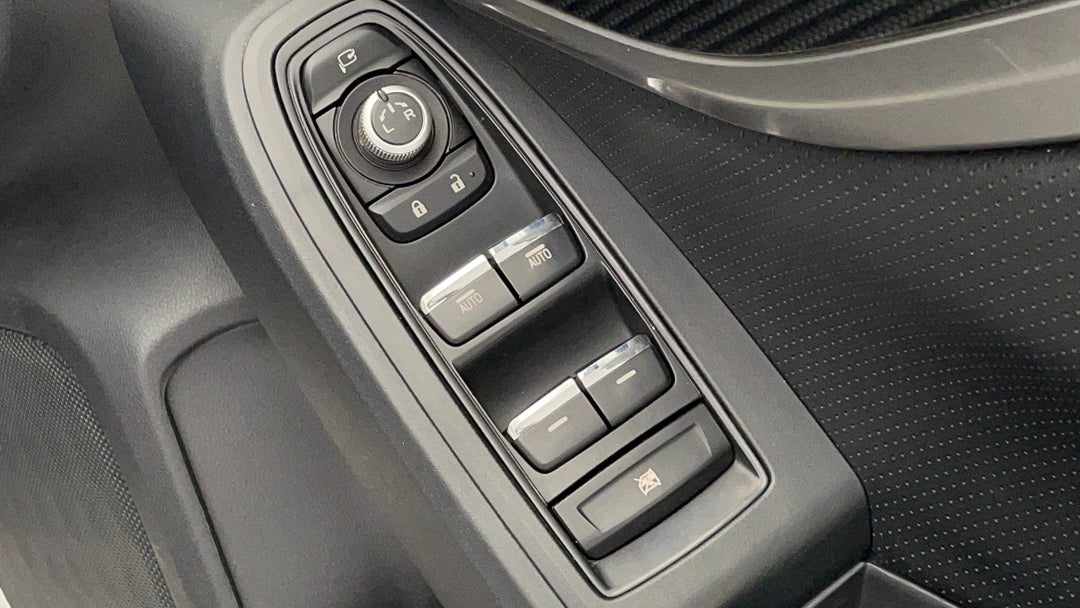 Drivers Side Door Panel Controls