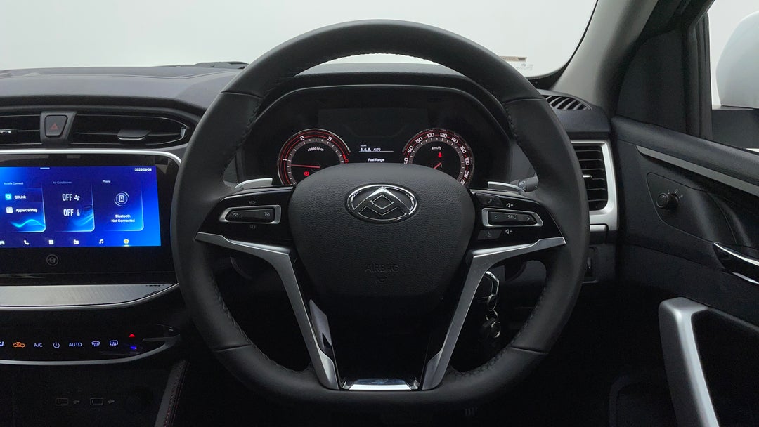 Steering Wheel Close-up