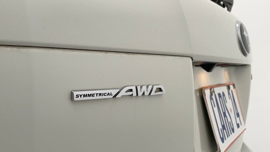 Badge (Boot Left Side)