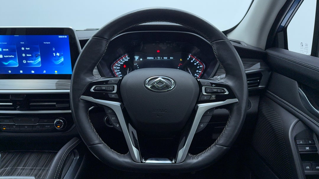 Steering Wheel Close-up