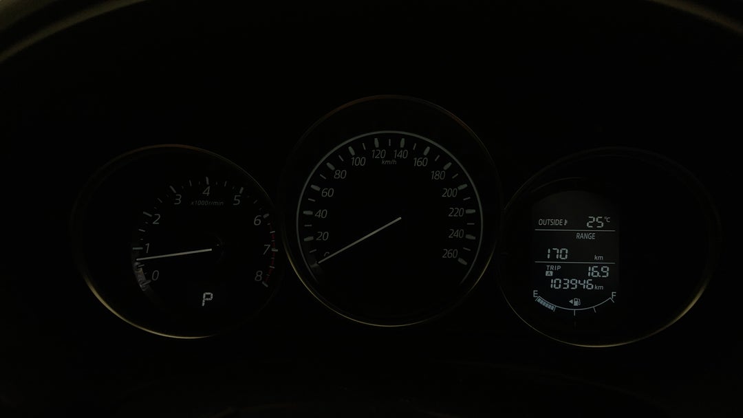 Odometer View