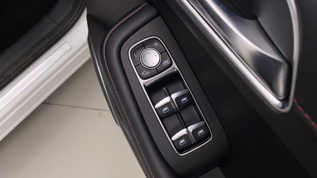 Drivers Side Door Panel Controls
