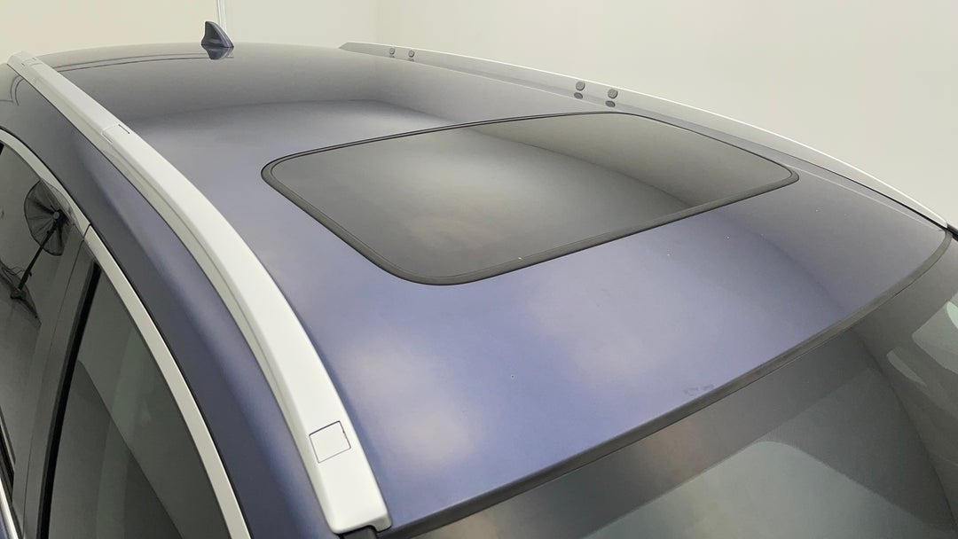 Roof/Sunroof View