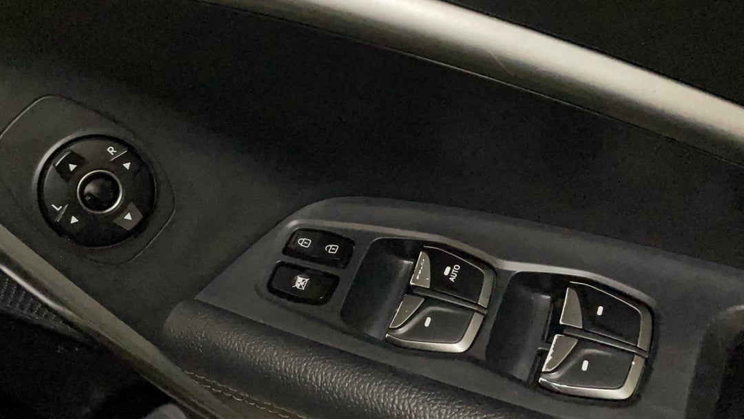 Drivers Side Door Panel Controls