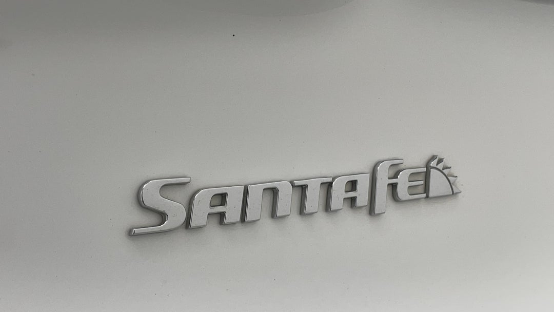 Badge (Boot Left Side)