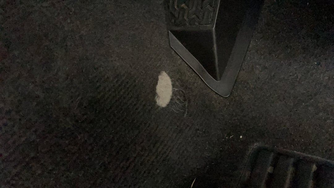 Floors / Carpets Wear