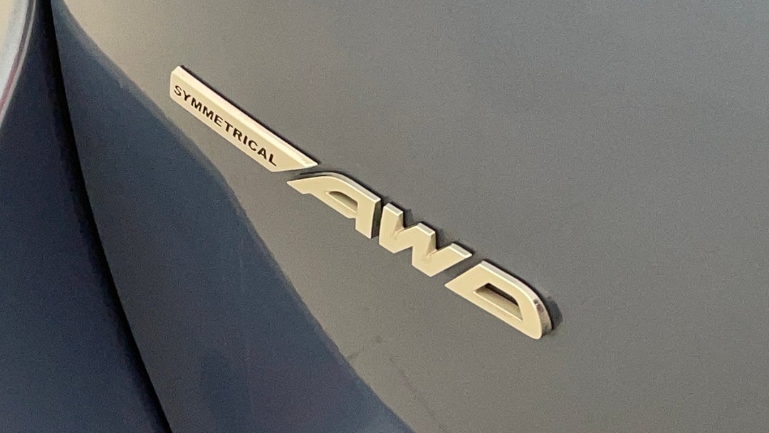 Badge (Boot Left Side)