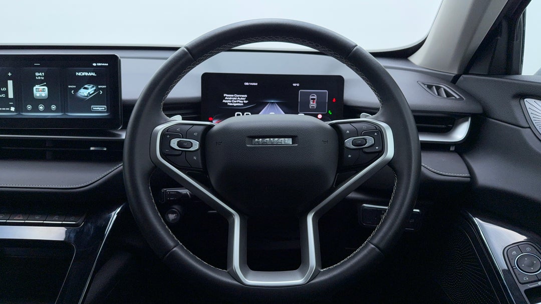 Steering Wheel Close-up
