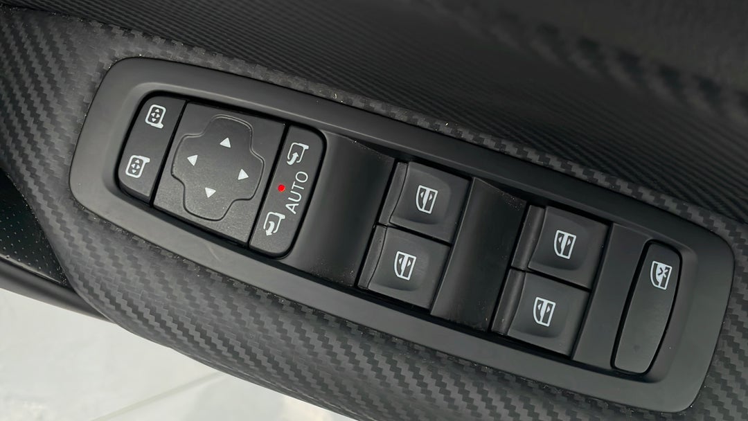 Drivers Side Door Panel Controls