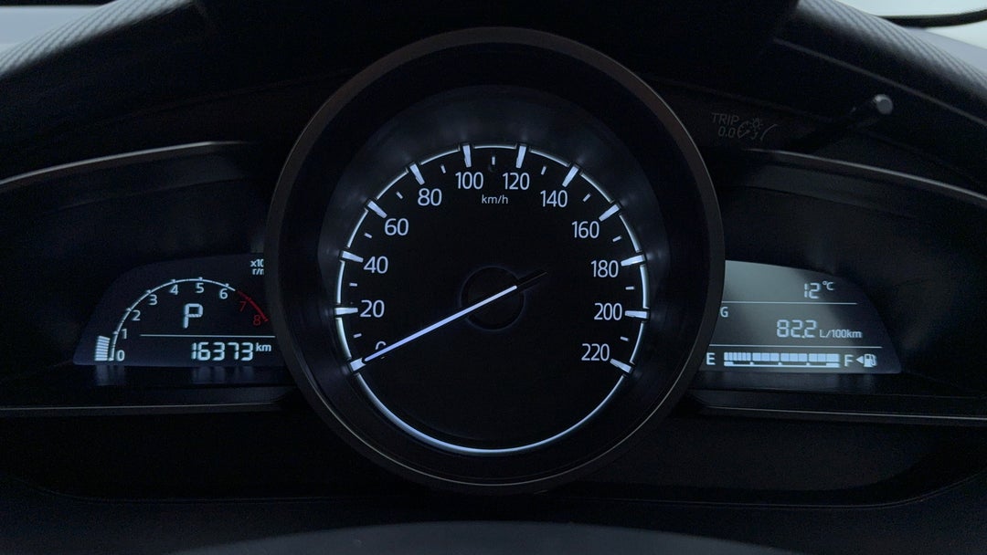 Odometer View