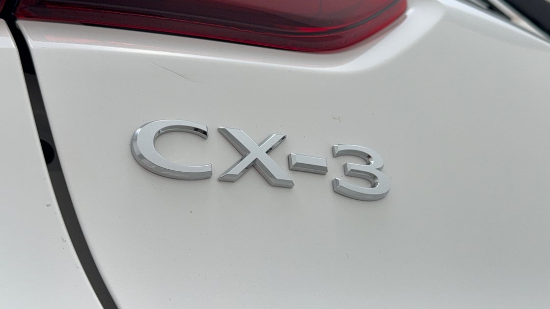 Badge (Boot Left Side)