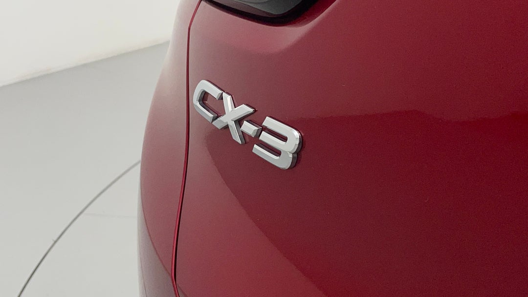 Badge (Boot Left Side)