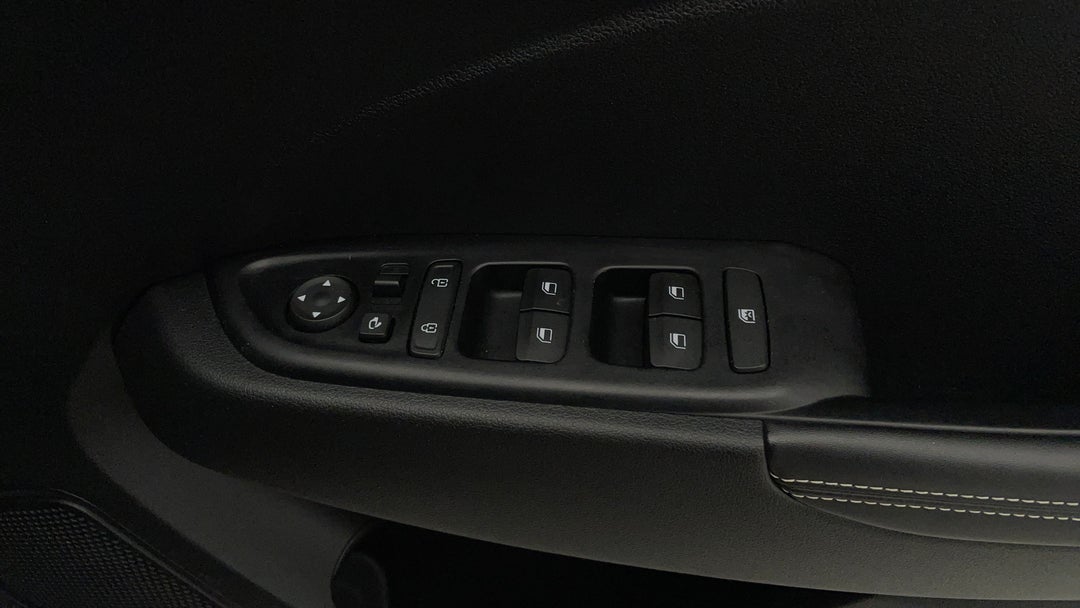 Drivers Side Door Panel Controls