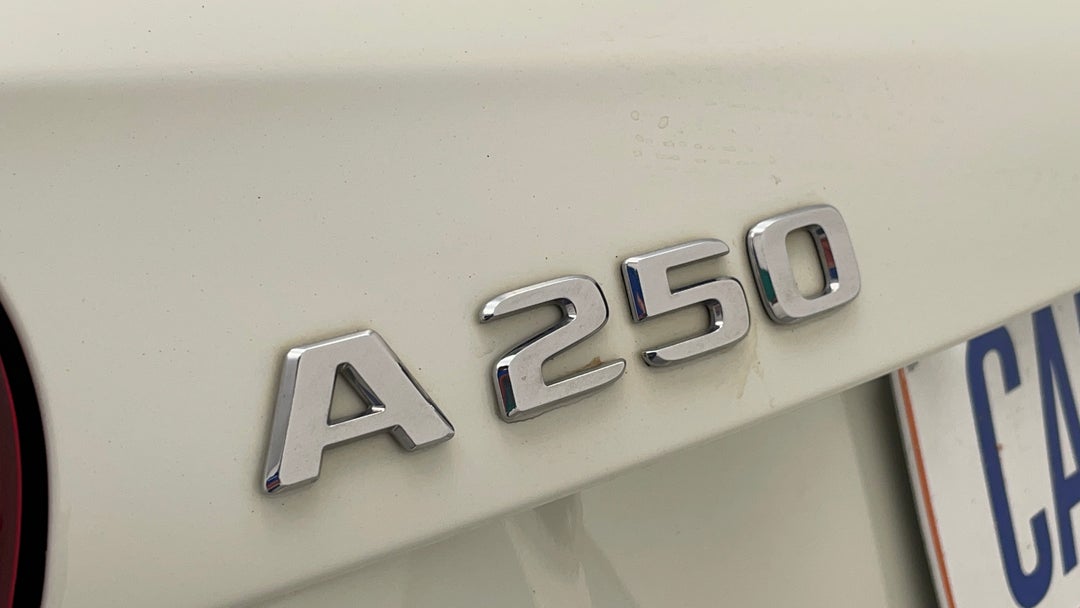 Badge (Boot Left Side)