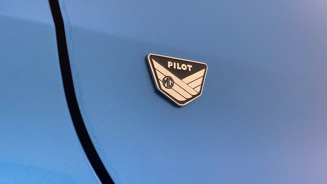 Badge (Boot Left Side)