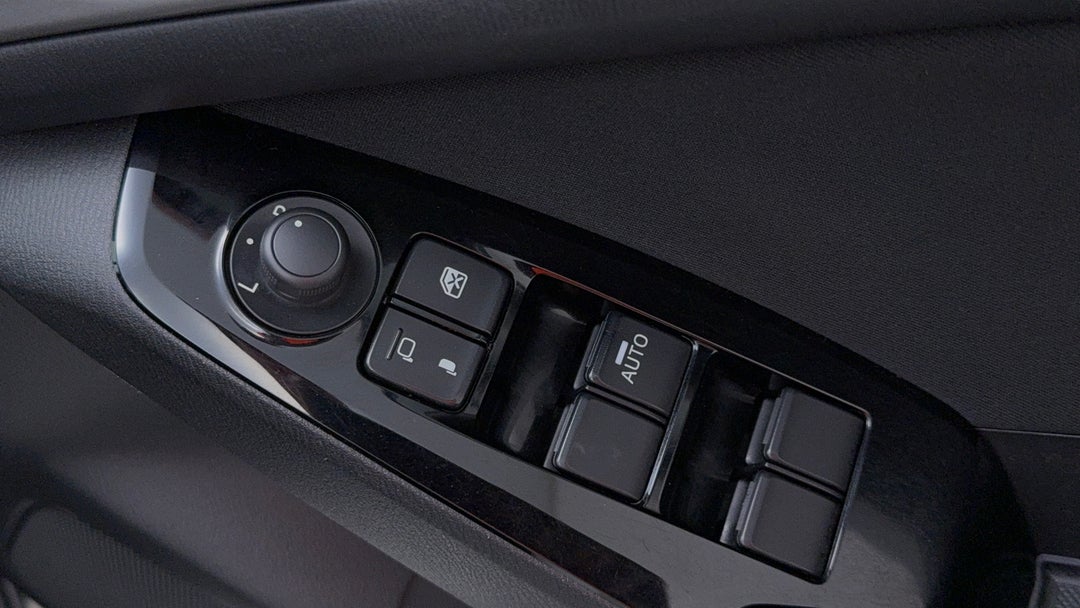 Drivers Side Door Panel Controls