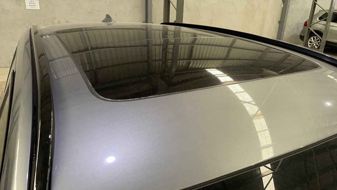 Roof/Sunroof View