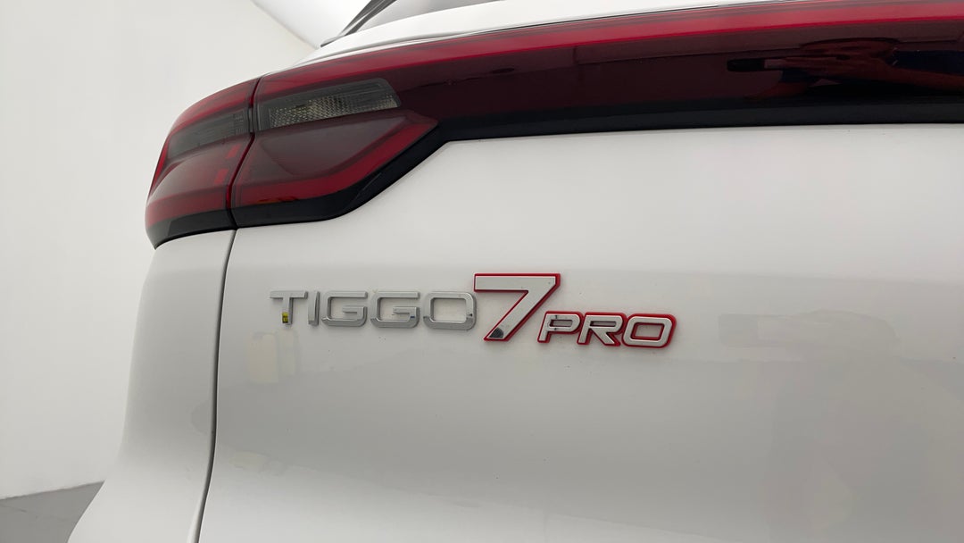 Badge (Boot Left Side)