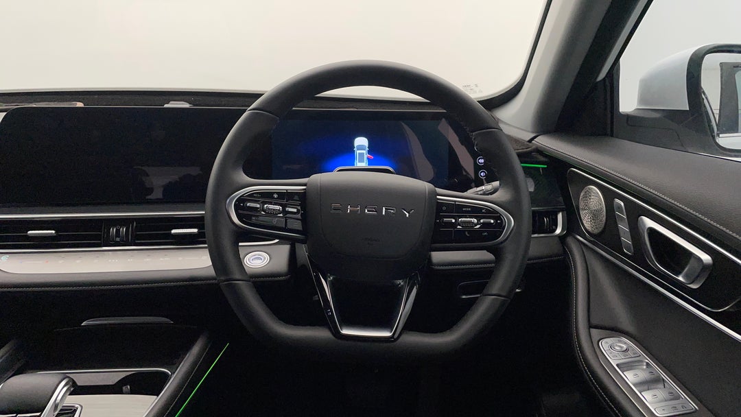 Steering Wheel Close-up