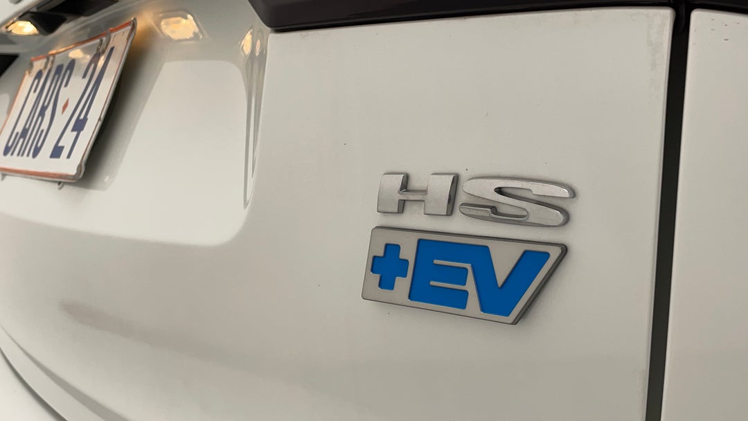 Badge (Boot Right Side)