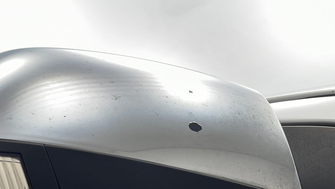 Side Mirrors Housing LHS Chip