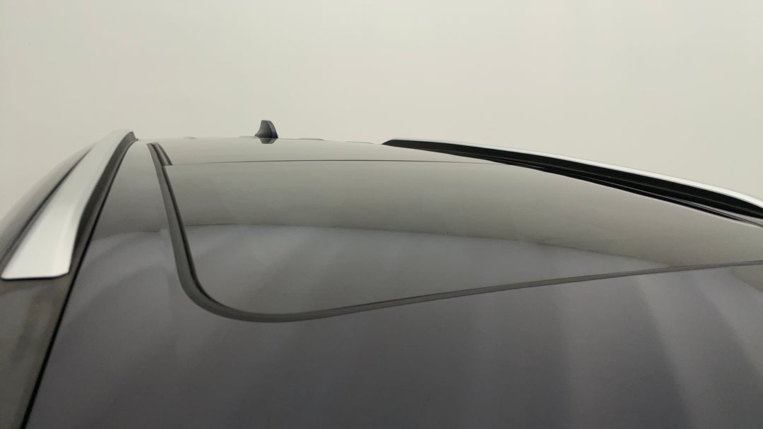 Roof/Sunroof View