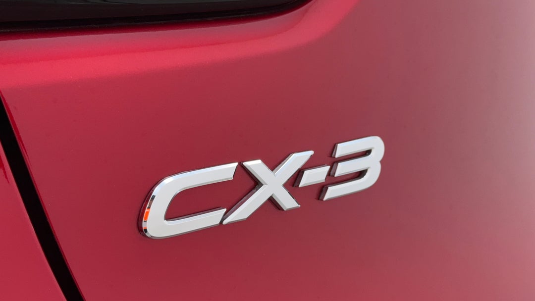 Badge (Boot Left Side)