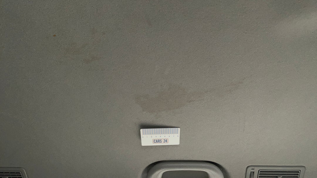 Roof Liner Stain