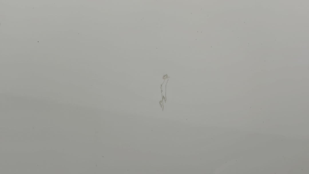 Doors Front LHS Scratch