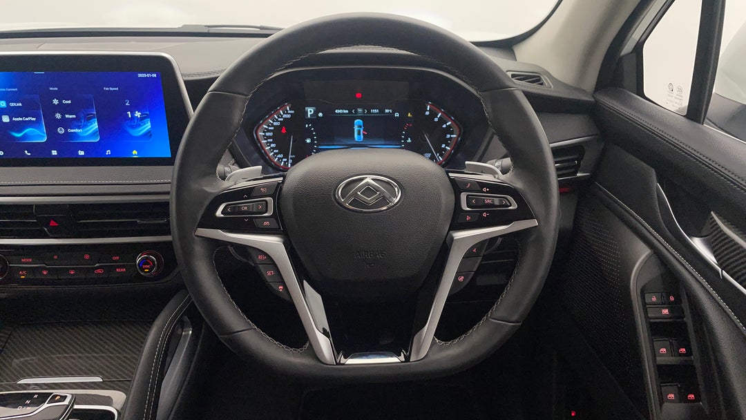 Steering Wheel Close-up