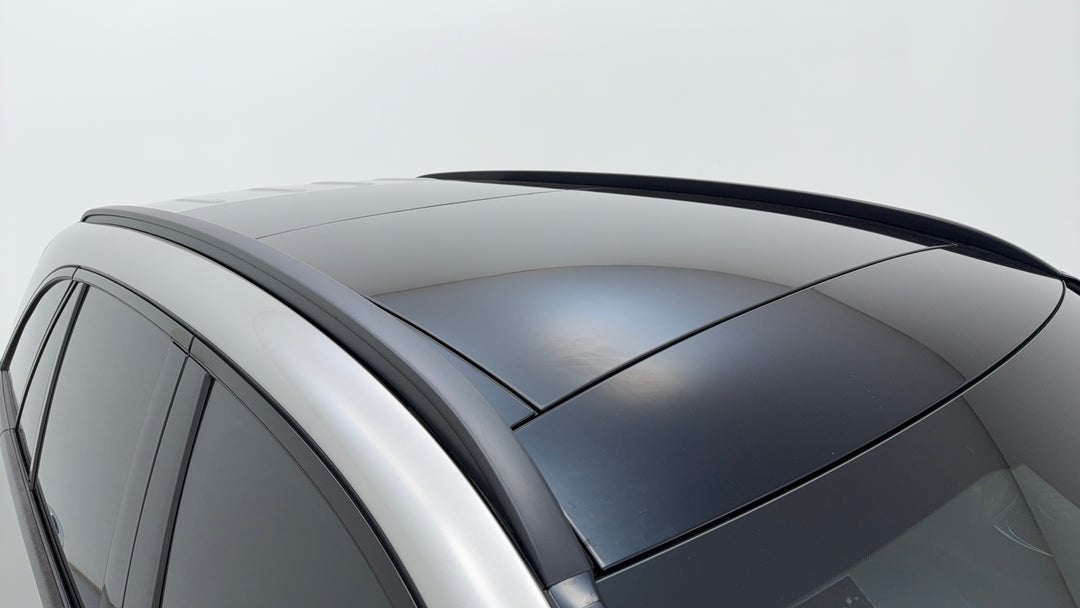 Roof/Sunroof View