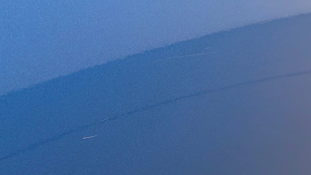 Doors Front LHS Scratch